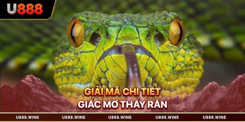 Mơ Thấy Rắn - Giải Mã Chiêm Bao Và Con Số Liên Quan 2026 Giải mã chi tiết giấc mơ thấy rắn